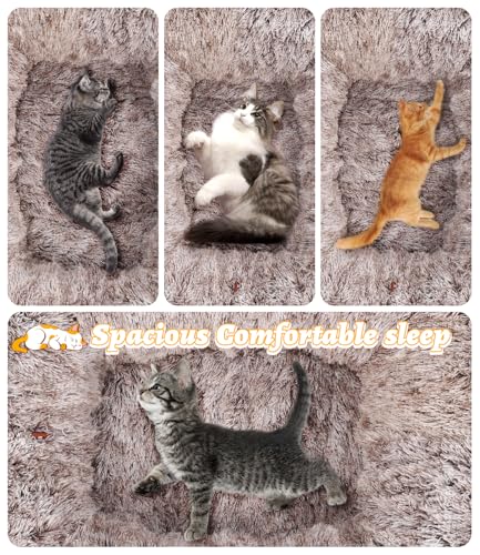 Vuxava XXL Katzentunnel Rechteckig Grau – Indoor Katzenspielzeug & Katzenhöhle mit weicher Liegefläche, 100×82 cm Bett & 180 cm Tunnel, 2 Eingänge, Waschbar & Abnehmbar
