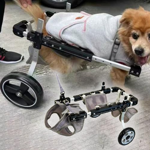 Fauteuil roulant pour chien dysplasie hanche et chat blessé noir