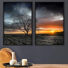 signwin 2 Piece Framed Canvas Wall Art Dry...