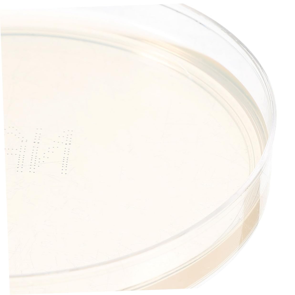 FRCOLOR 10pcs 6cm Nutrient Agar Petri Dishes for Laboratory Use, Pre-Poured Microbiology Culture Plates for Science Experiments and Cell Culture in Research and Education