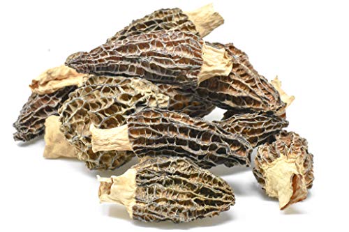 Slofoodgroup BQ-OWC2-C71J Dried Morel Mushrooms thumb #4