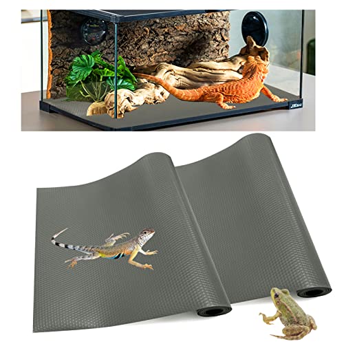10 Best Bearded Dragon Substrate — Great Answer