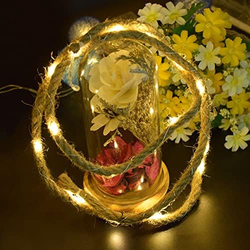 TTSAM Rope Lights Outdoor,Battery Christmas Tree Lights,Battery Powered Indoor Outdoor Home & Garden Natural Hemp Rope String Fairy Light, Ideal for Mantles, Gazebos, Posts and Trees