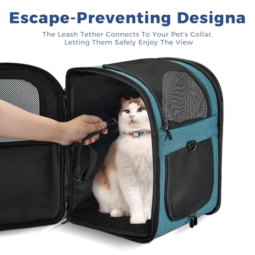 Image of Apollo Walker Dog & Cat Carrier Backpack for 4-18lb Pets - Ventilated Safe Design with Padded Back Support, Breathable Mesh Pet Backpack for Hiking, Travel, Outdoor (Teal)