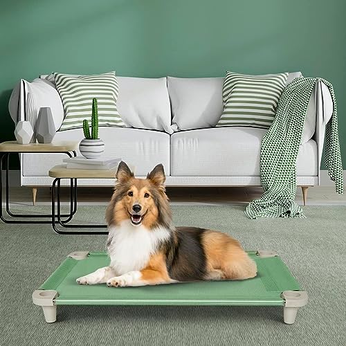 Cama Pet, Cama para Cachorros, Confortável e Higiênica, Manta Cor Verde e Pés Cor Gelo, Acrimet