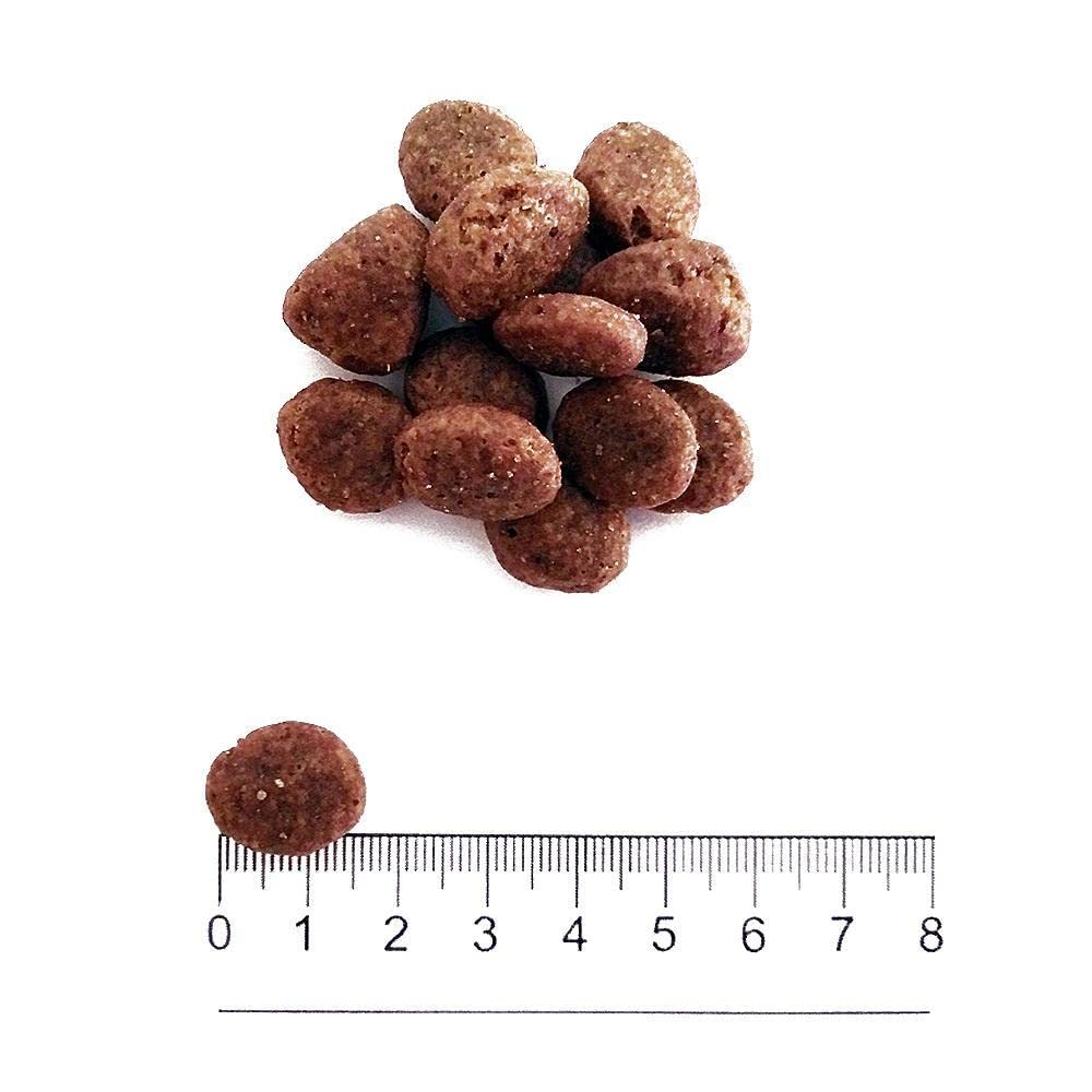 prolife - Grain Free Adult Sensitive Medium/Large al Maiale e Patate da 10 kg