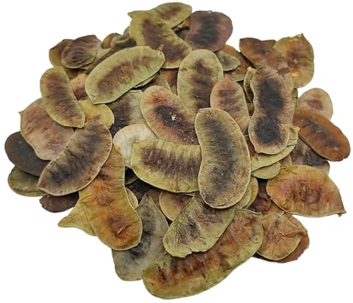 Hojas Secas de Senna Té de Hierbas 85g - 1.95Kg Senna Alexandrina (85 gramos)