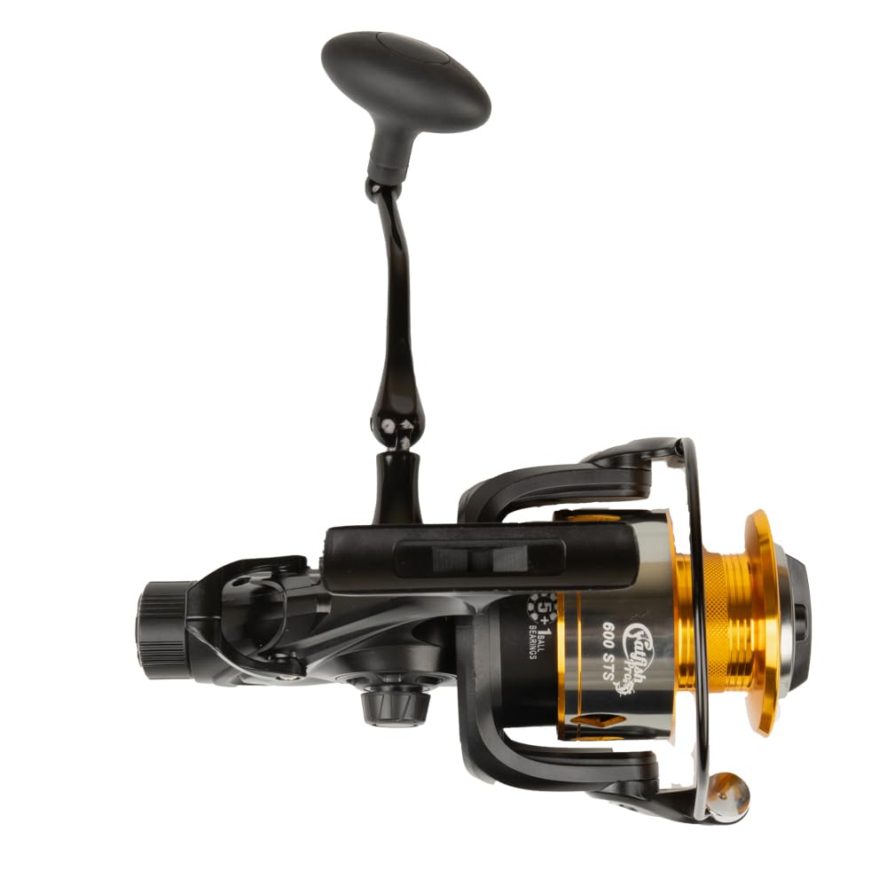 100p baitcasting reel Daiwa Tatula 100 Baitcast Reel
