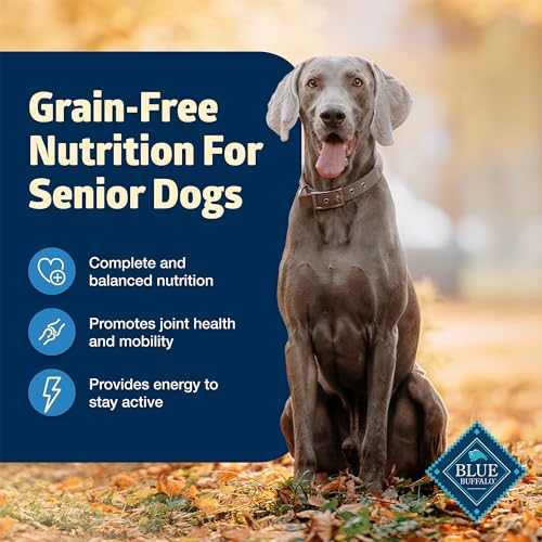 Blue Buffalo Freedom Grainfree Senior Wet Dog Food Free of Glutens  Artificial Preservatives Made with Natural Ingredients Chicken Recipe 125oz Cans 12 Count  Cucciolini Doodles Blue buffalo freedom grain free senior wet dog food free of glutens  artificial preservatives made with natural ingredients chicken recipe 12 5 oz Cans 12 count   cucciolini doodles