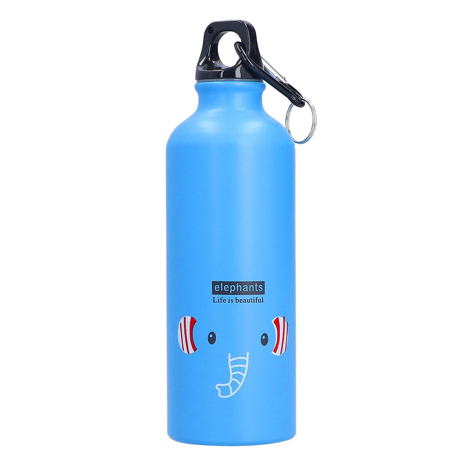 Cute Water Bottle Water Bottle with Carabiner Reusable Metal Water Bottle Kids Water Bottle Sport Water Bottle Travel