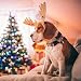 ARING PET Weihnachten Hundehalsband, Weihnachtsmann Hundehalsband mit Schnellverschluss aus Kunststoffschnalle, Winter Bequemes Rot Halsband für Jungen und Mädchen Hunde