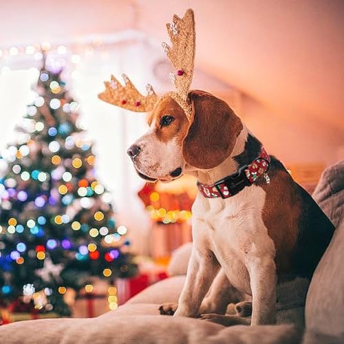 ARING PET Weihnachten Hundehalsband, Weihnachtsmann Hundehalsband mit Schnellverschluss aus Kunststoffschnalle, Winter Bequemes Rot Halsband für Jungen und Mädchen Hunde