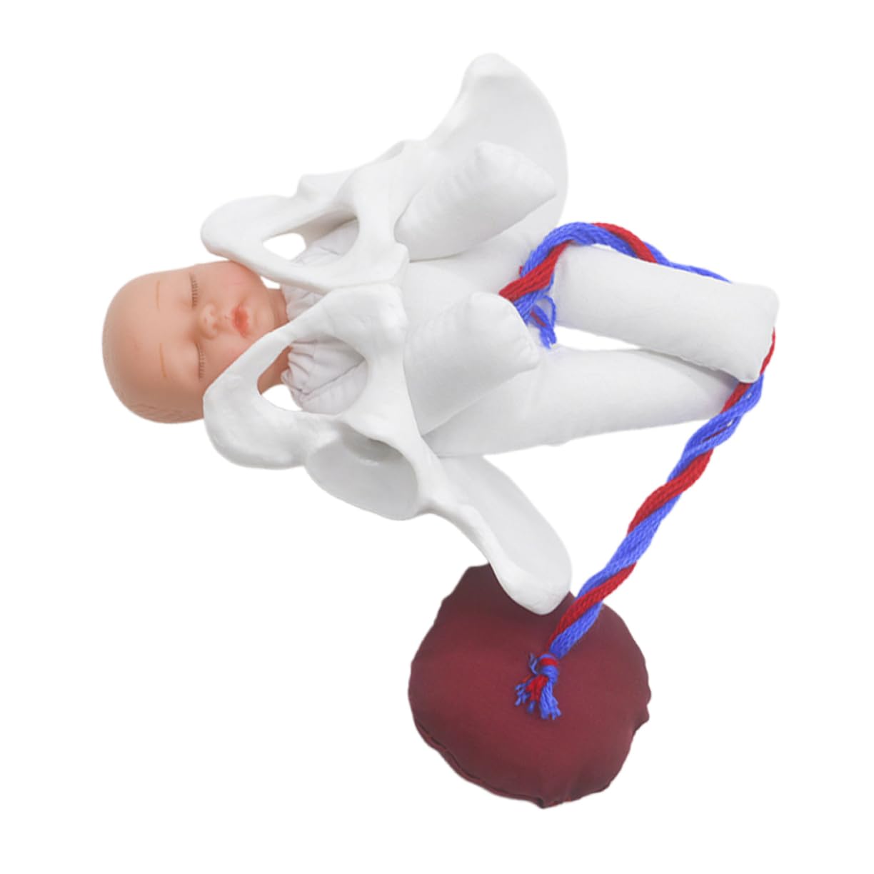 Generic 1 Set Obstetric Teaching Aid for Midwifery Training Childbirth Simulator for Prenatal Classes and