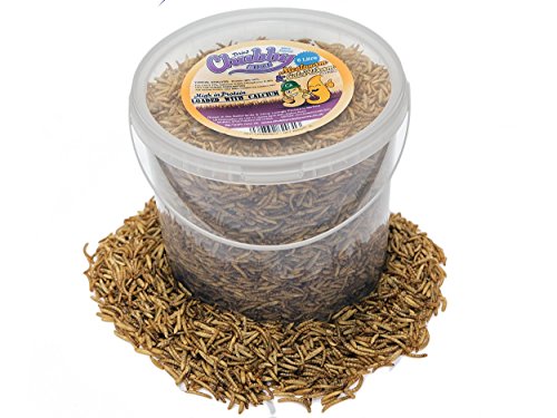 Chubby Mealworms Dried Mealworms and Calci Worm Mix, 5 Litres