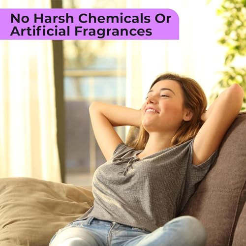 Aromasong Carpet Deodorizer Powder- 2-Pack -100% Natural Lavender Carpet Freshener - Safe For Pets - Carpet Powder For Vacuuming - Effective Pet Odor Eliminator For Strong Odor & Pet Urine - 13 Oz.