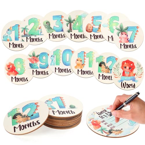 Image of Baby Monthly Milestone Signs - 13 Pack Wooden Baby Milestone Cards for 1-12 Months, Newborn Photography Props with Hello World Discs, Gender Neutral Baby Announcement for Boy Girl Age Shower Gifts