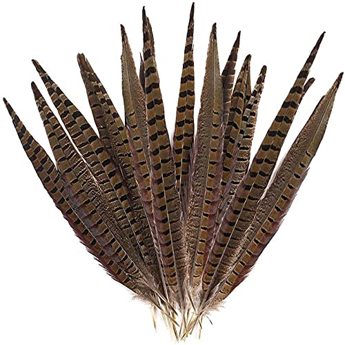Outuxed 15pcs Pheasant Feathers 12-14 Inches (30-35cm) Natural Pheasant Tail Feathers for DIY Craft Wedding Home Party Decorations