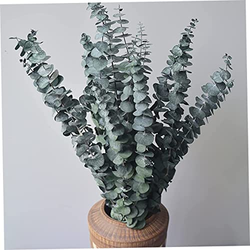 Cómo Decorar Con Eucalipto Seco Mi Hogar