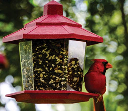 Aududon Park 12231 Cardinal Blend Wild Bird Food, 4-Pounds (2) #TOP3