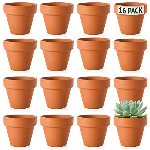 Green Thumbz Macetas pequeñas de Arcilla Terracota Mini macetas para Plantas y Flores Macetas de cerámica para Plantas, Hierbas Semillas y Flores (Paquete de 16-5cm) Cover