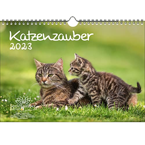 Katzenzauber Calendrier 2023 pour chats et chats - Contenu : 1 calendrier, 1 carte de vœux de Noël et 1 carte de vœux (3 pièces au total)