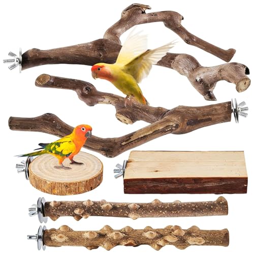 �������̎~�܂�� - 6�{ �V�R�� ����~�߉��H - ��^�� �~�܂�� ���p�A�N�Z�T���[,�R���S�E�C���R ���̑����^�� ���G�����b�`�����g �܌����ɍœK