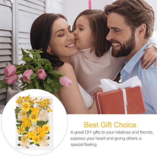 SEWACC Caso Prensado Vela Real Fazendo Ornamentos de Plantas de Flores Arte para Decoração de Pétala