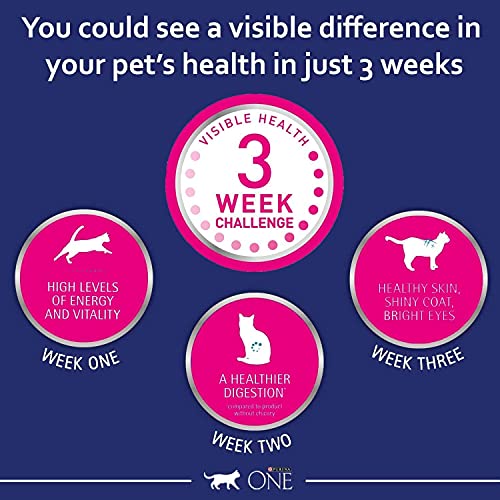 Purina-One-Adult-Cat-Dry-Food-Chicken-Whole-Grains-6-kg-plus-Feeding-Reminder