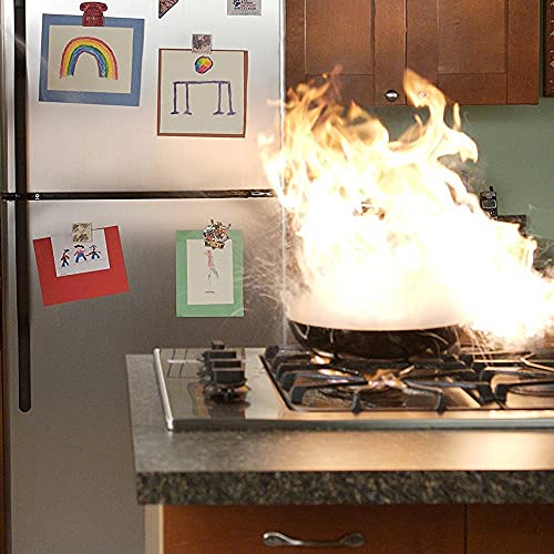 Type K Fire Extinguisher, UL/ULC Rated, Wet Chemical Class K Grease Restaurant Kitchen Stainless Steel 6 Liter Buckeye with Wall Mount, Sign and Inspection Tag