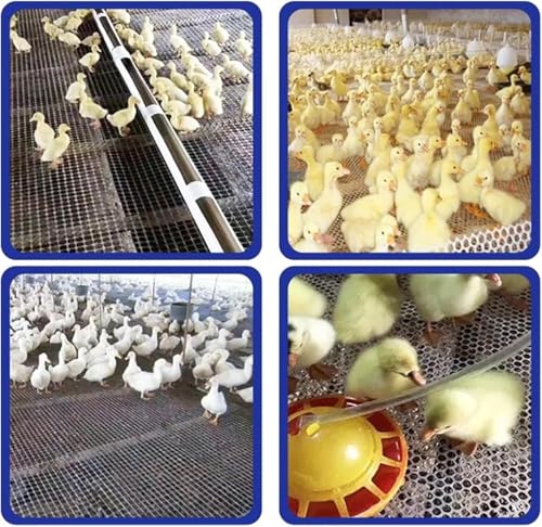 Grillage à poules extra longue en plastique robuste pour basse-cour - 3