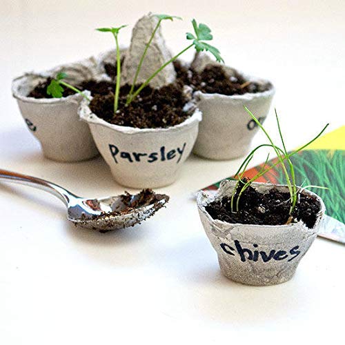 Egg Flats Egg Cartons Cheap Bulk - Egg Tray Egg Carton For Your Dubia Roach Colonies by G&T Country Living, LLC - Thumbnail 6