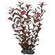 Hobby Ludwigia, 25 cm