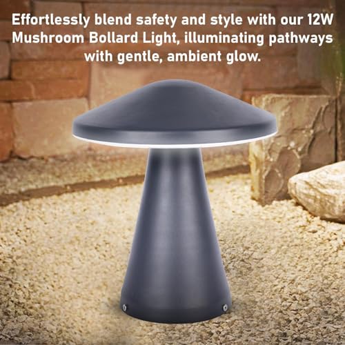 Image of JACKAL Modern LED Garden Path Light, 12 Watt Conical Outdoor Landscape Lamp, Dark Gray Aluminum, Waterproof Pathway Lighting for Yard, Patio, Lawn with 1 Year Warranty