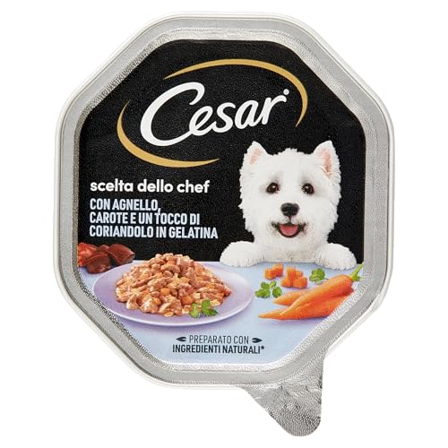 Cesar Scelta Dello Chef Cibo Umido per Cane con Agnello, Carote e Coriandolo - 1 Vaschetta da 150 gram