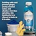 SYNERGY The Real Kombucha - Sacred Life - 16 fl oz Bottle - Raw Probiotic Drink for Gut Health and Immune Support