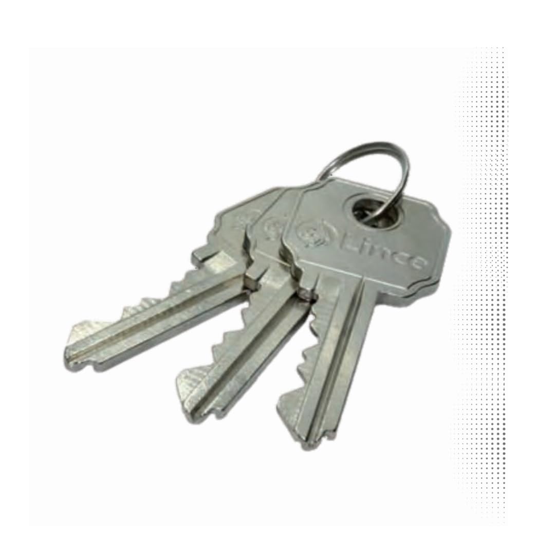 Lince 3017800 Cilindro Ovalado Latonado 0500/54 mm