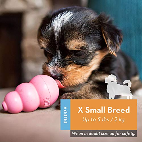 image for KONG - Puppy Toy Natural Teething Rubber - Fun to Chew, Chase and Fetc