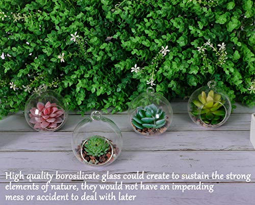 Tqvai 4 Pack Hanging Glass Globe Air Planter Terrarium Vase With 39 Inch Sling (Not Included The Plants) #TOP2