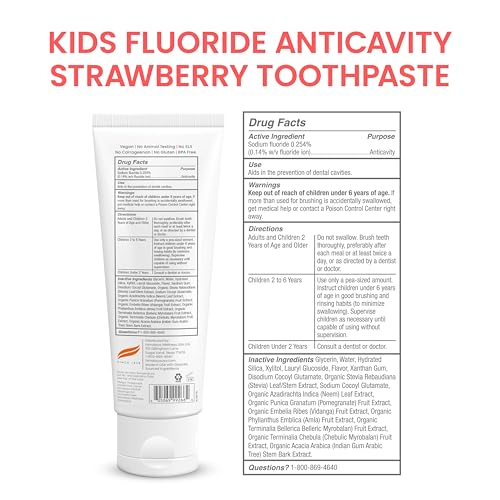 Image of Himalaya Botanique Kids Fluoride Anticavity Toothpaste, Strawberry, 4 oz | Kids Toothpaste with Fluoride To Help Fight Cavities - Vegan, SLS Free, No Artificial Colors or Flavors, No Titanium Dioxide