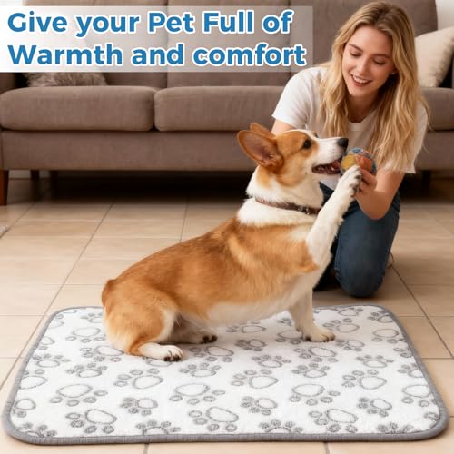 XRVRILE 5 Kuscheldecke Katzendecke für Hunde und Katzen, Flauschige Haustierdecke 40x60 cm, Waschbar, Graue Dog Blanket für Sofa, Hundedecke für Kleine Hunde Haustiere Unterwegs