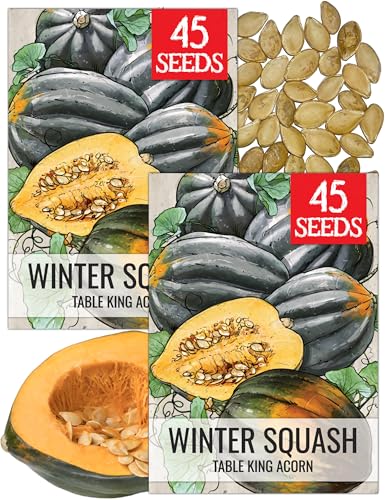 Seed Needs, Table King Acorn Winter Squash Seeds - 45 Heirloom Seeds for Planting Cucurbita Pepo - Non-GMO & Untreated Vegetable for an Outdoor Garden (2 Packs)