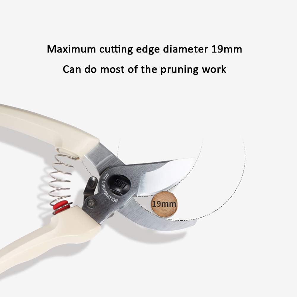 物価高騰 丸山モリブデン EX250C 3本 誰よりも 1円でも安く ご提供