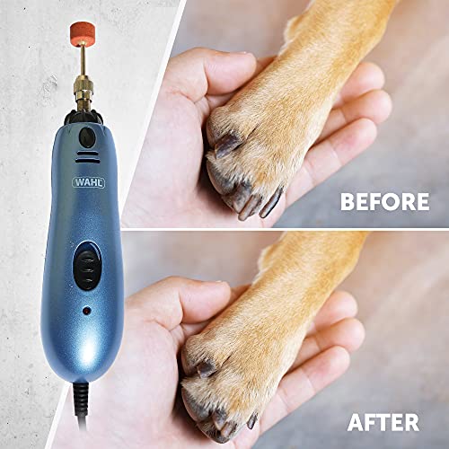 Wahl Dog Nail Grinder/File for Pets, Mains Powered, Clear, 1 Count (Pack of 1) - Image 4