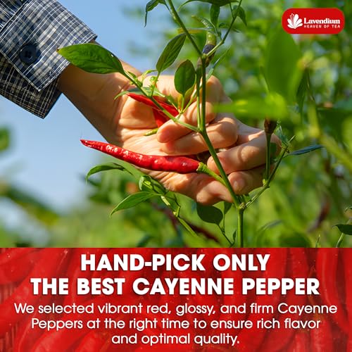 Image of Lavendium, Premium 25oz Cayenne Pepper Powder, 100% Natural & Pure Ground Cayenne Pepper, No Additives or Preservatives, Non-GMO, Plant-Based & Vegan, Perfect for Seasoning, Marinades, Chili & BBQ Rubs
