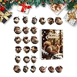 Calendario de Adviento Cuenta Regresiva Animales,Acrílico Reutilizable,Calendario Colgante Tema Animal Para Adviento - Para Adultos Adolescentes Árbol Ventana Pared Puerta