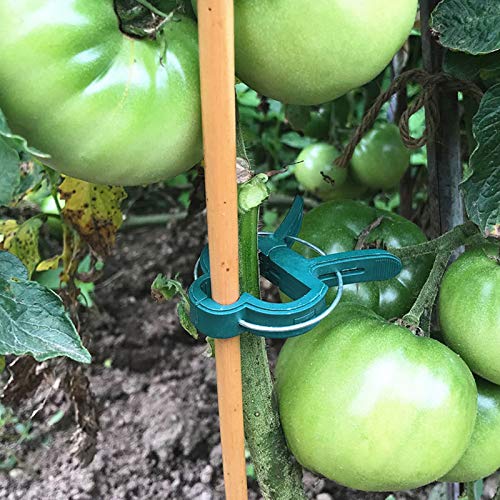 Vianyer 40PCS Netting Bags Fruits Protect Nylon Mesh Barrier Bags 20PCS Plant Support Clips 1 Pack Plant Twist Tie for Garden Vegetable Flower Vine Tomato Grape Figs Cucumber Zucchini Lily Hydrangeas