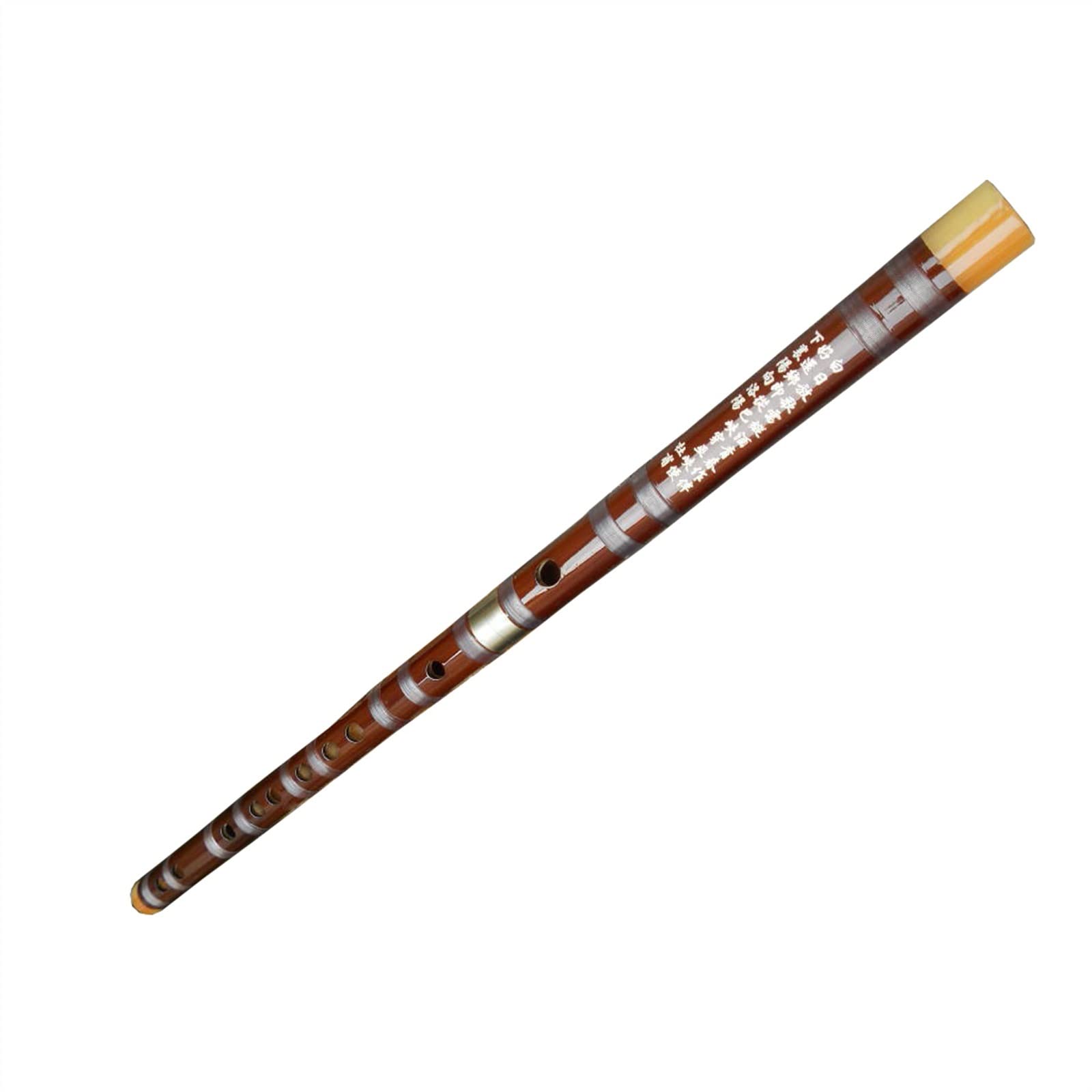 TSTS Instrument À Vent en Bois pour Étudiant en Cupronickel À 2 Sections À Insertion Transparente Brun Amer Professionnelle Flûte de Bambou (Color : G)