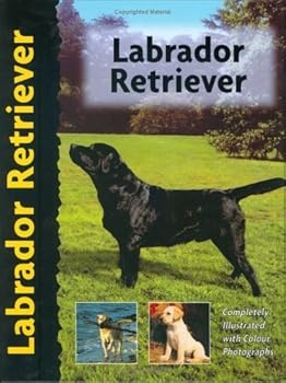 Hardcover Labrador Retriever (Pet Love) Book
