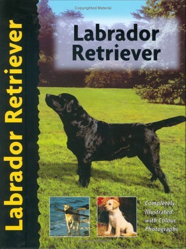 Labrador Retriever (Pet Love) 0966859235 Book Cover