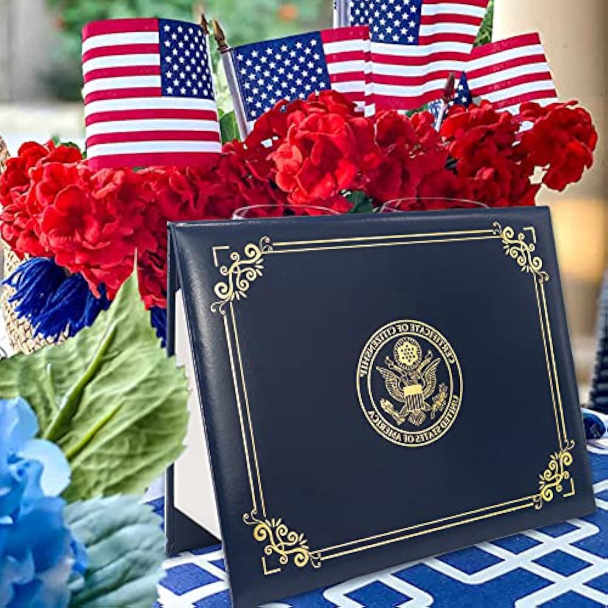 US Citizenship Holder 2026, Naturalization Cove